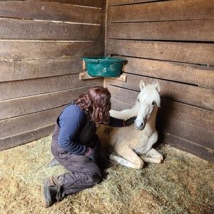 Meet your Posher, Rebekah